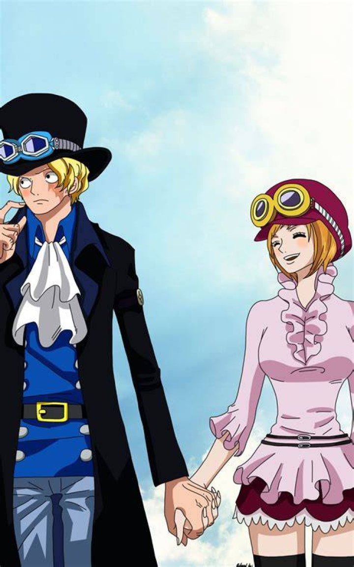 Sabo, Koala and Hack in One Piece